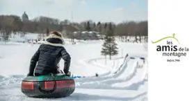 Mount Royal: March Break Family Activities