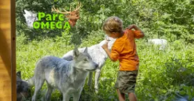 Parc Omega: accommodation in communion with nature