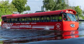 Amphibus Lady Dive Tours