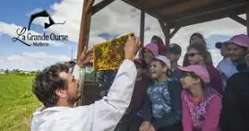 Honey Farm & Meadery Beekeeper & Hydromelry - Guided tour