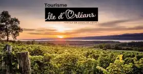 Discover Ile d'Orleans  