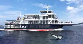 AML Cruise - the most beautiful whale watching site in the world!