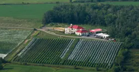 Cortellino Winery - A Corner of Italy in Montérégie