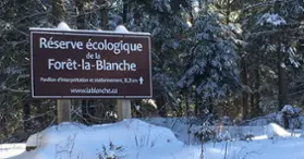 Forêt-la-Blanche Ecological Reserve