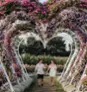 Festifleurs - La Belle de Coteau-du-lac  Thumbnail 2