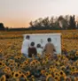 Sunflowers in Bloom - La Belle de Coteau-du-lac  Thumbnail 2