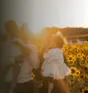 Sunflowers in Bloom - La Belle de Coteau-du-lac  Thumbnail 3